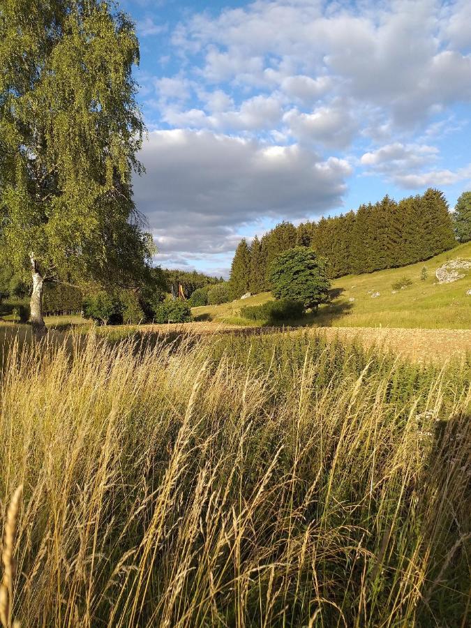 Landcafe Sima & Zimmervermietung Forheim Zewnętrze zdjęcie